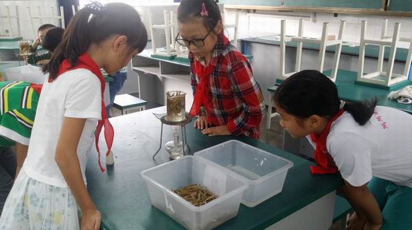 成都市温江区东大街第二小学学生探究性实验喜获省一等奖-1-600.jpg 成都市温江区东大街第二小学学生探究性实验喜获省一等奖-1-600.jpg