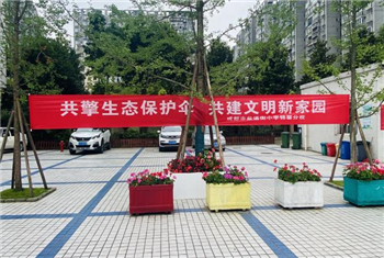 image5.jpg