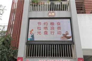 image6.png