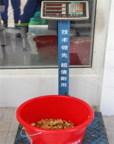 图片21.png