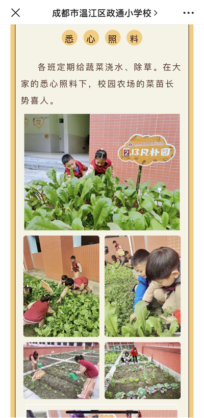 图片23.png