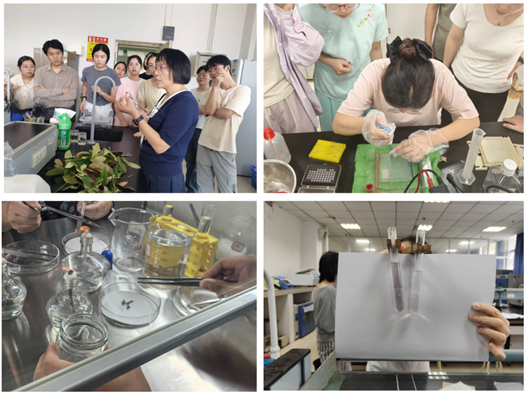 图片3.png 图片3.png